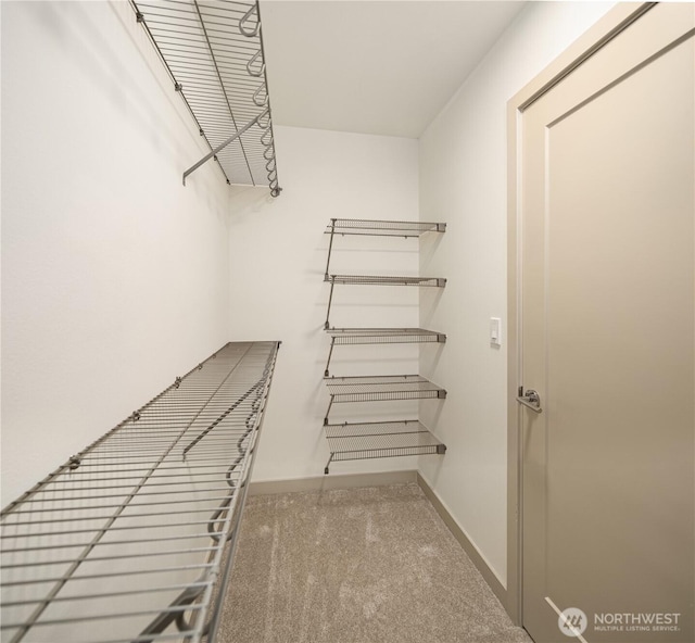 spacious closet with carpet floors
