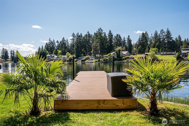 7223 20th Ave SE, Lacey, WA 98503 - photo 25