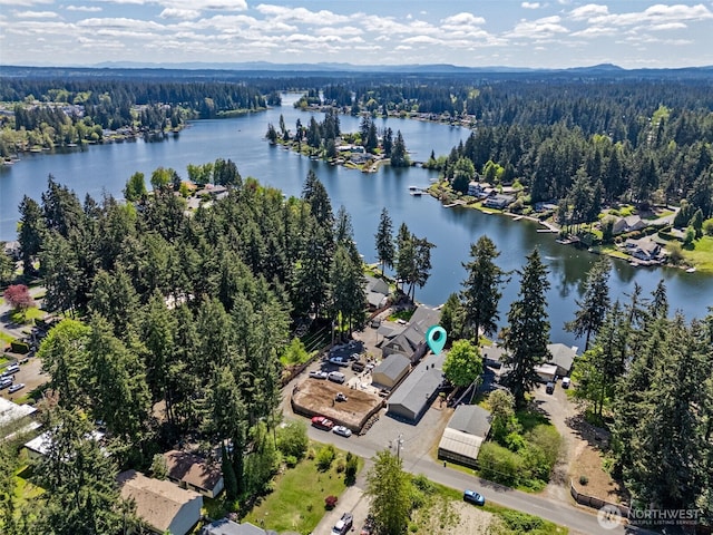 7223 20th Ave SE, Lacey, WA 98503 - photo 26
