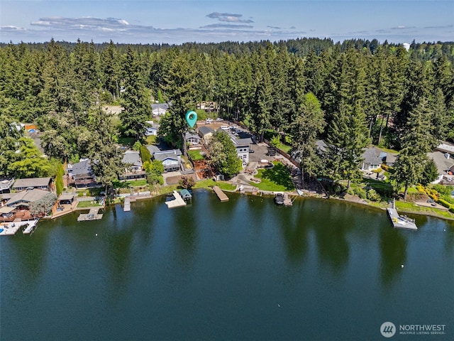 7223 20th Ave SE, Lacey, WA 98503 - photo 7