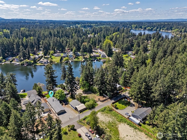 7223 20th Ave SE, Lacey, WA 98503 - photo 37