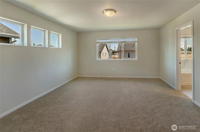 18213 35th Avenue Ct E, Tacoma, WA 98446 - unfurnished room with carpet floors