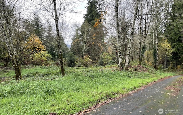 3106 Olympic Hwy, Aberdeen, WA 98520 - photo 1