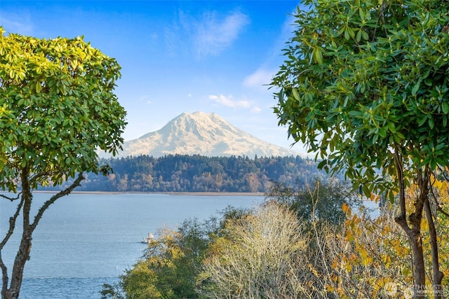 5036 Beach Way NE, Olympia, WA 98516 - water view with mountains