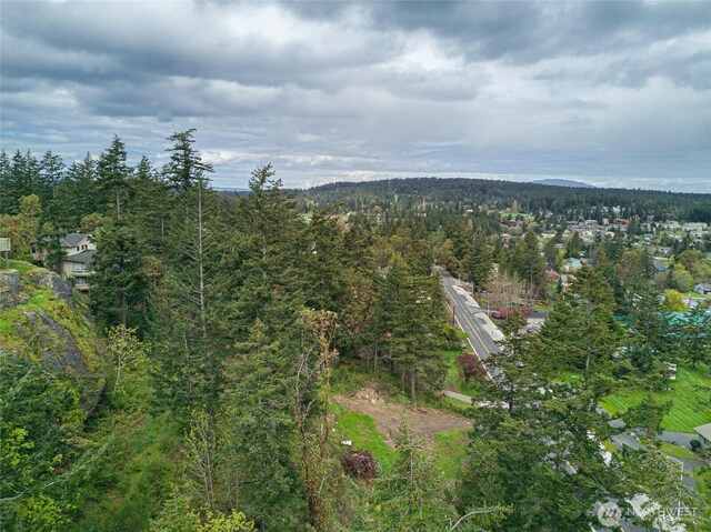 365 Marguerite Pl S, Friday Harbor, WA 98250