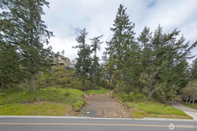 365 Marguerite Pl S, Friday Harbor, WA 98250