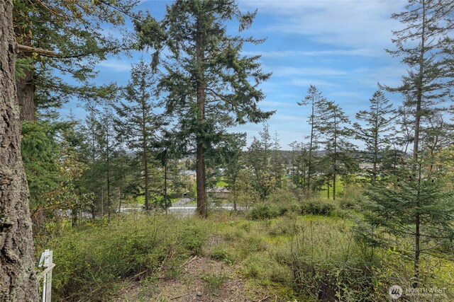 365 Marguerite Pl S, Friday Harbor, WA 98250