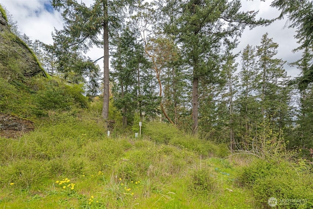 365 Marguerite Pl S, Friday Harbor, WA 98250