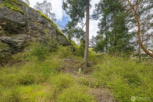 365 Marguerite Pl S, Friday Harbor, WA 98250