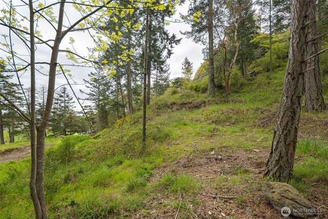 365 Marguerite Pl S, Friday Harbor, WA 98250