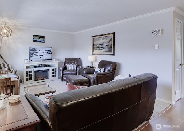 living area with wood finished floors, baseboards, and ornamental molding