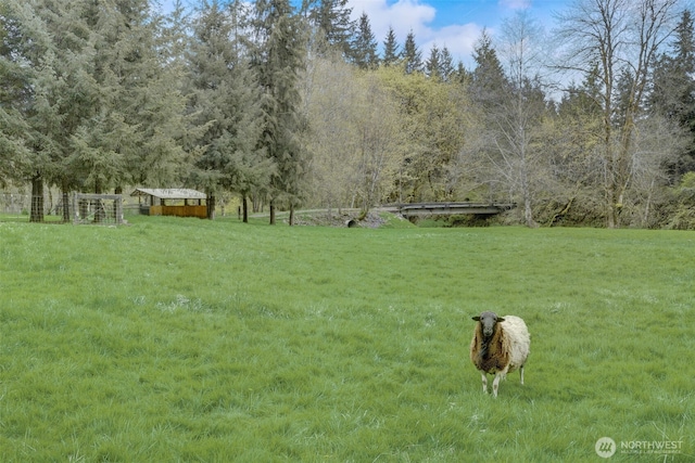 1319 Winlock Vader Rd Unit 19, Winlock, WA 98596 - view of grassy yard with a view of countryside