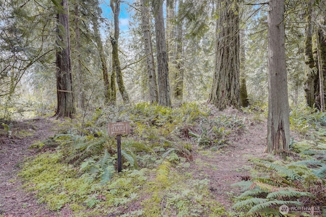 1319 Winlock Vader Rd Unit 19, Winlock, WA 98596 - view of tree filled area