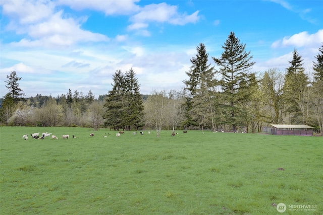 1319 Winlock Vader Rd Unit 19, Winlock, WA 98596 - view of grassy yard featuring a rural view and a wooded view