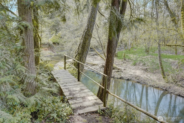 1319 Winlock Vader Rd Unit 19, Winlock, WA 98596 - dock with a water view