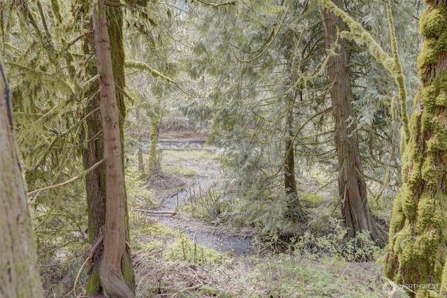 1319 Winlock Vader Rd Unit 19, Winlock, WA 98596 - view of woods