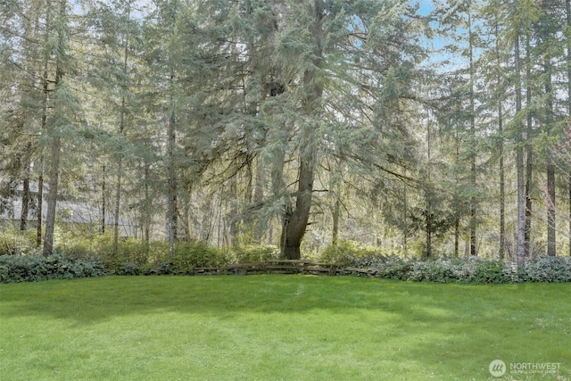 1319 Winlock Vader Rd Unit 19, Winlock, WA 98596 - view of grassy yard featuring a view of trees