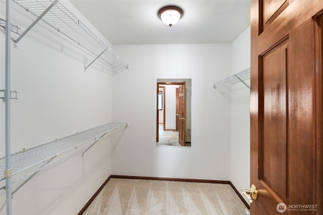 walk in closet featuring light colored carpet