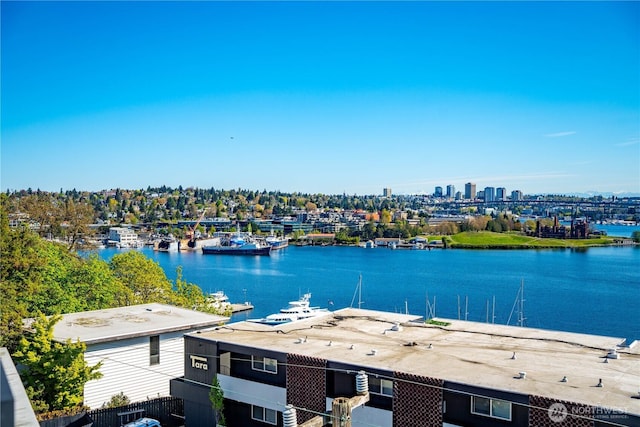 property view of water