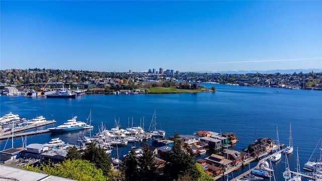 property view of water