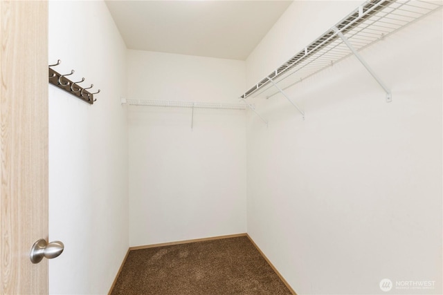 spacious closet featuring carpet flooring