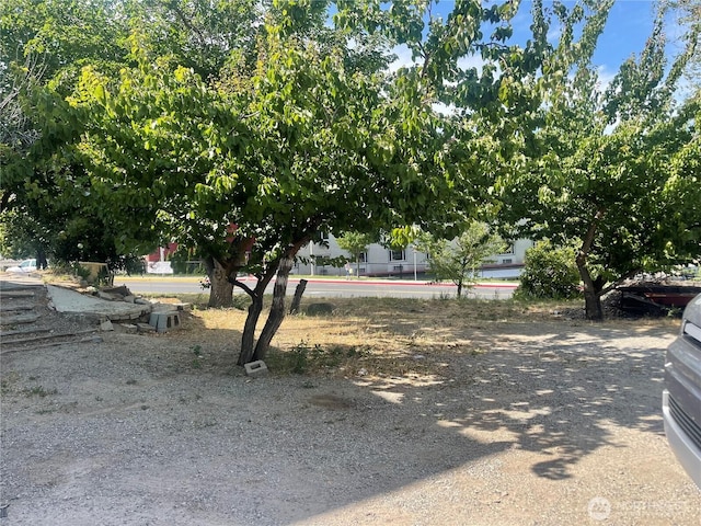 409 N Franklin Ave, Wenatchee, WA 98801 - view of yard