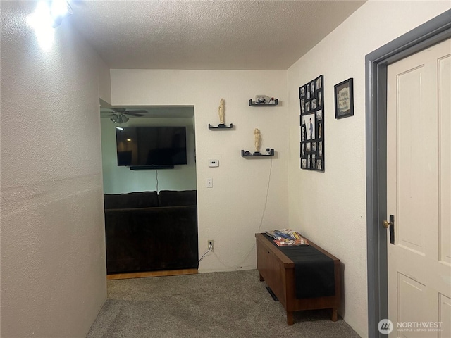 409 N Franklin Ave, Wenatchee, WA 98801 - corridor featuring carpet flooring and a textured ceiling