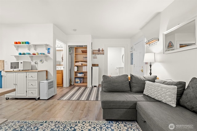 living room featuring light wood-style floors