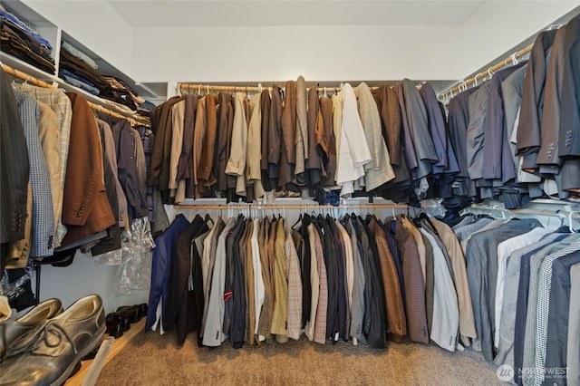 308 Chardonnay Ct, Walla Walla, WA 99362 - spacious closet with carpet flooring