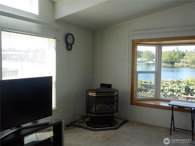 details with a water view, a wood stove, and carpet
