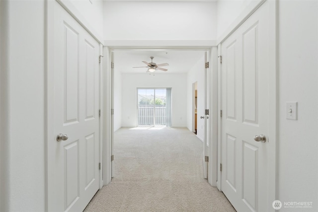 10757 NE Red Wing Way Unit 201, Hillsboro, OR 97006 - corridor with carpet floors