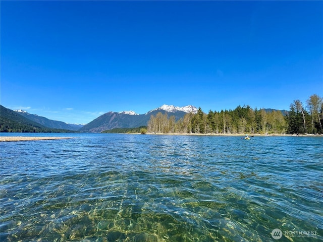 81 N Duckabush Dr E, Hoodsport, WA 98548 - photo 2