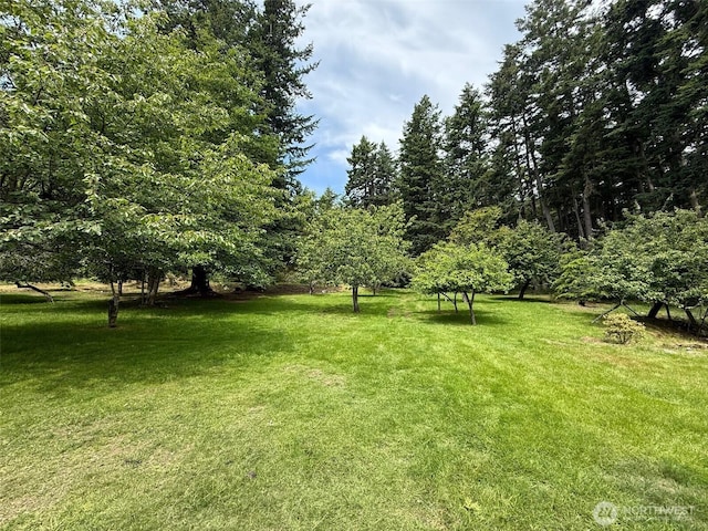 557 Old Sentinel Rd, Orcas Island, WA 98279 - photo 20