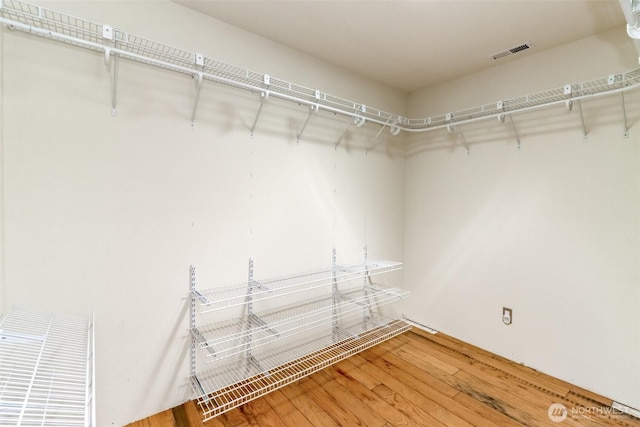 spacious closet with wood finished floors and visible vents