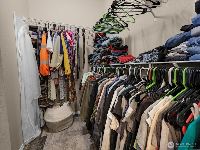 view of spacious closet