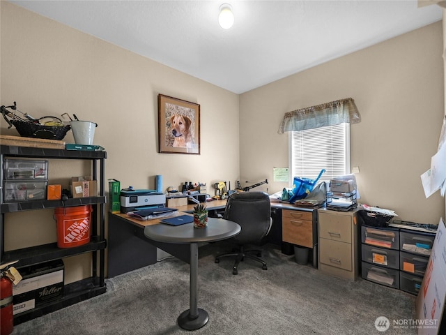 home office with carpet