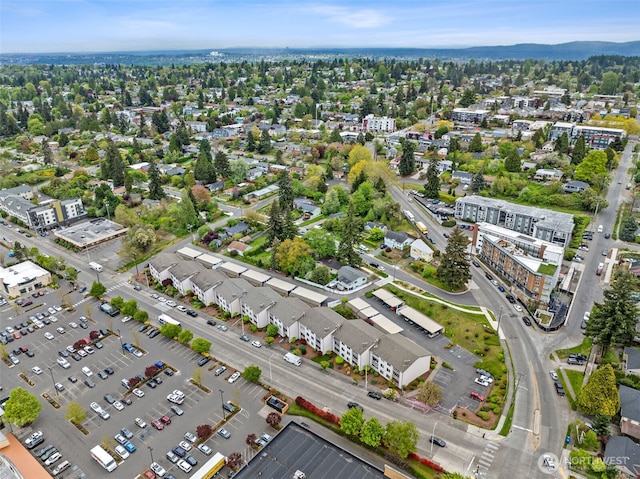 bird's eye view