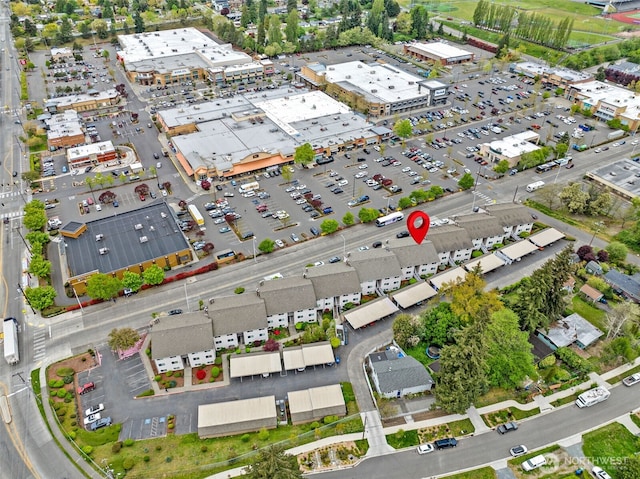 drone / aerial view