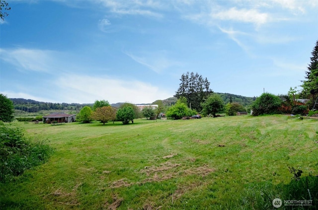 view of green lawn with a rural view