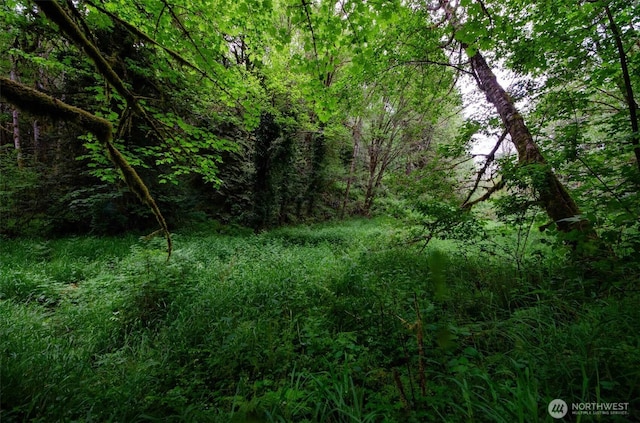 view of tree filled area