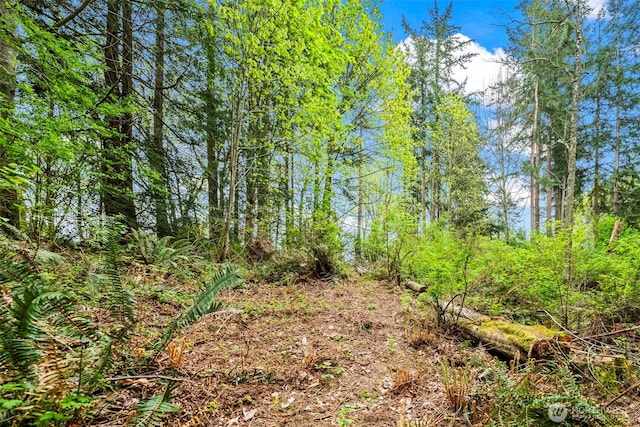 37218 Loki Bluff Dr NE, Hansville, WA 98340