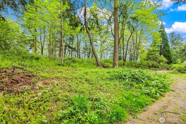 37218 Loki Bluff Dr NE, Hansville, WA 98340