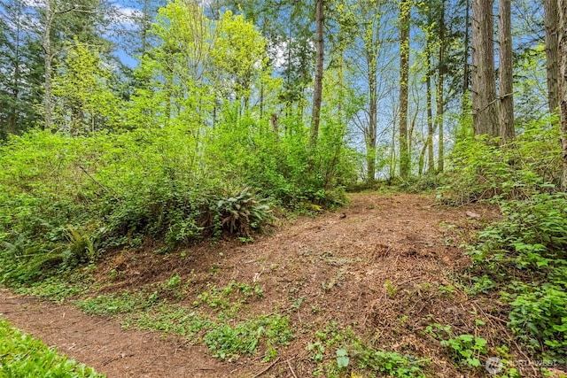 37218 Loki Bluff Dr NE, Hansville, WA 98340