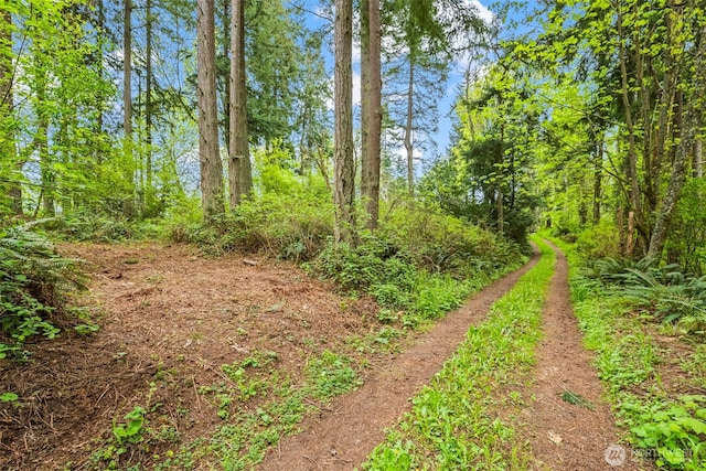 37218 Loki Bluff Dr NE, Hansville, WA 98340