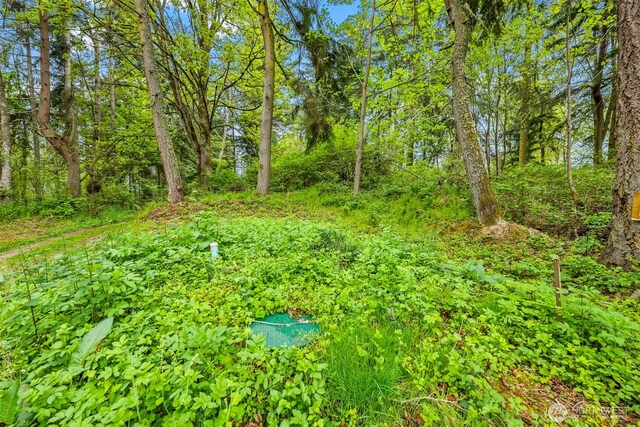 37218 Loki Bluff Dr NE, Hansville, WA 98340