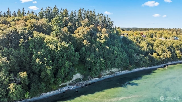 37218 Loki Bluff Dr NE, Hansville, WA 98340