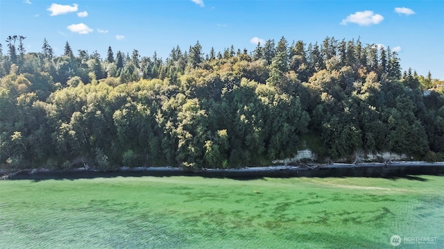 37218 Loki Bluff Dr NE, Hansville, WA 98340