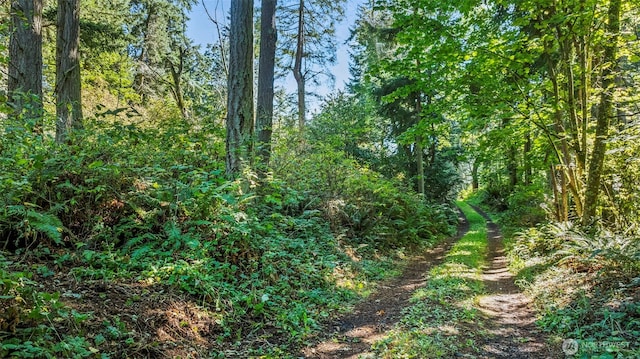 37218 Loki Bluff Dr NE, Hansville, WA 98340