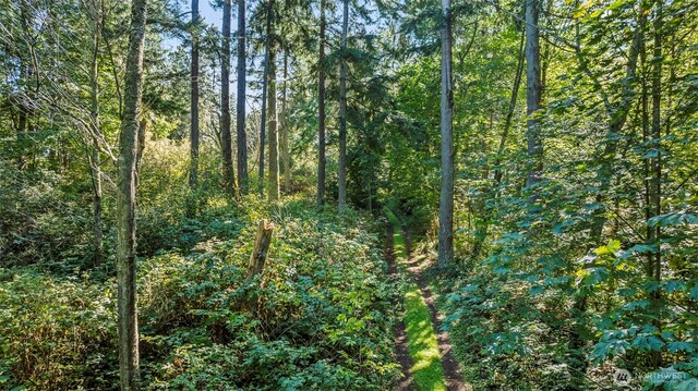 37218 Loki Bluff Dr NE, Hansville, WA 98340