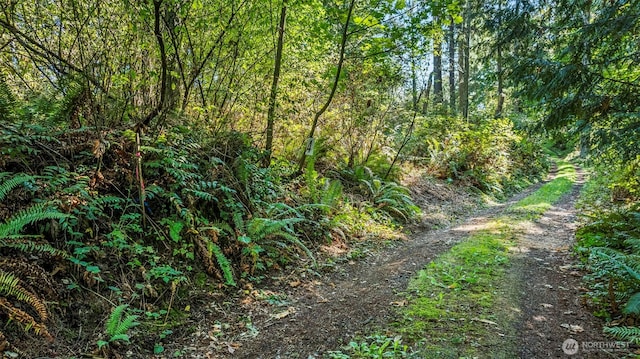 37218 Loki Bluff Dr NE, Hansville, WA 98340